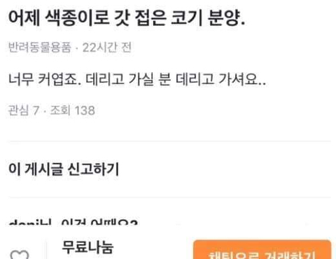 당근마켓 웰시코기 직거래 현장 ㄷㄷ | 인스티즈