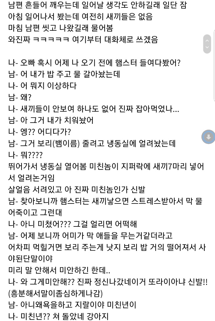 햄스터때문에 이혼하게 생겼네요 너무 화나요.jpg | 인스티즈