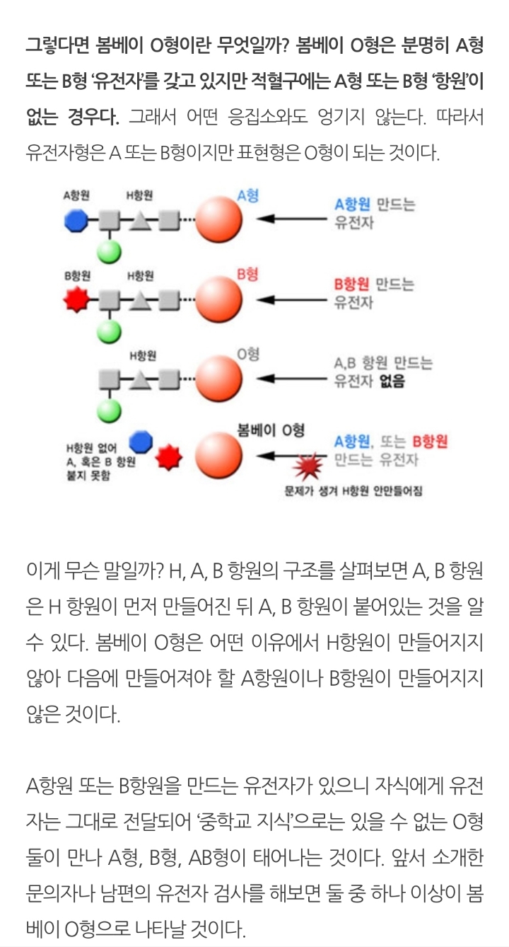 A형과 O형 부모 사이에서 AB형 자녀가 나올 수 있을까? | 인스티즈