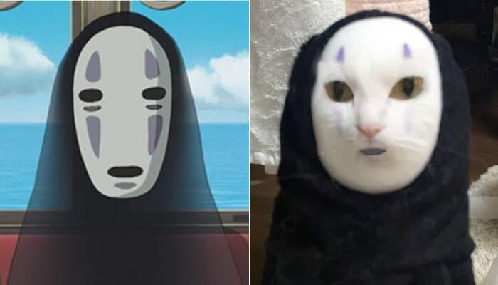 고양이한테 얼굴교환 어플을 써봤더니.jpg | 인스티즈