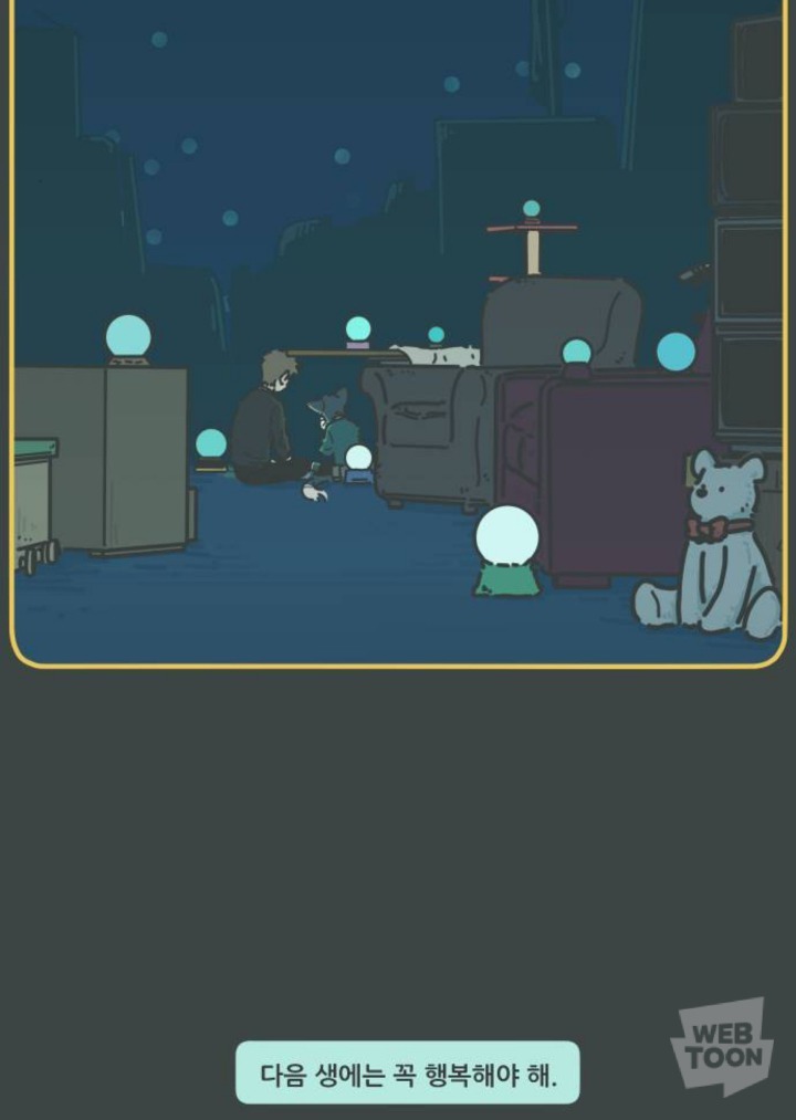 병원에서 죽음을 맞이한 고양이와 마지막을 지키지 못한 주인 | 인스티즈