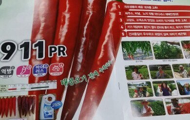 재미있는 고추 품종 이름들 | 인스티즈