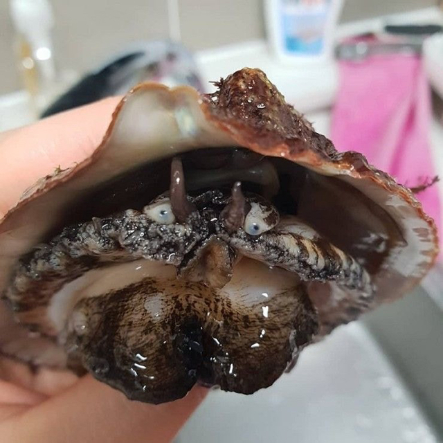 9e13a299c35d958655450e64e73a88b9a8335566