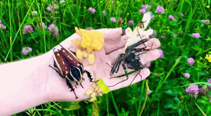 신기한 지구의 생명체들 | 인스티즈