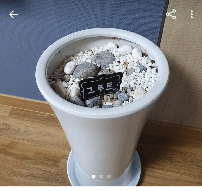 우당탕탕 당근마켓 모음.jpg | 인스티즈