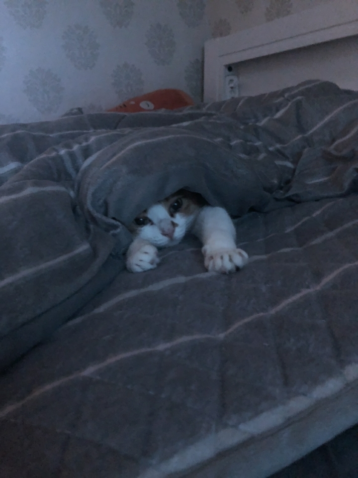 와이프랑 호들갑 .kakao | 인스티즈