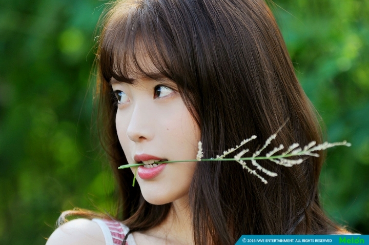 아이유 | 인스티즈