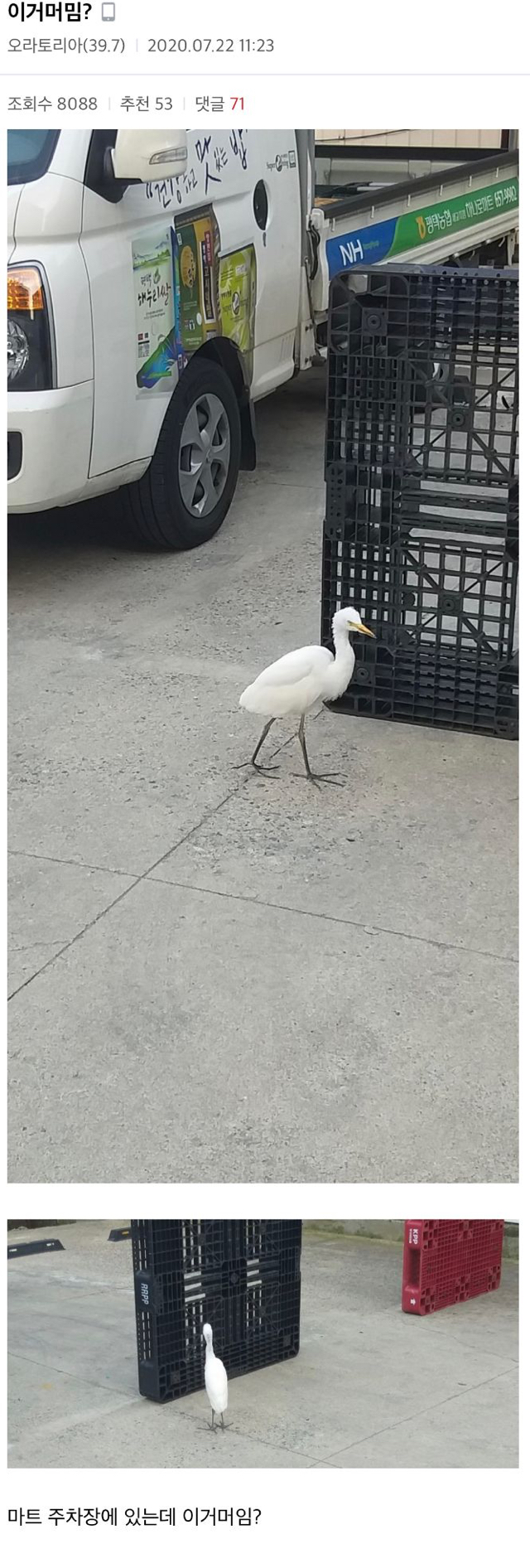 새줍 레전드.jpg | 인스티즈