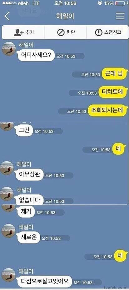 중고나라 레전드 모음집 | 인스티즈