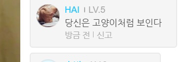 한국어 패치 된 방탄소년단 라이브 댓글들 | 인스티즈