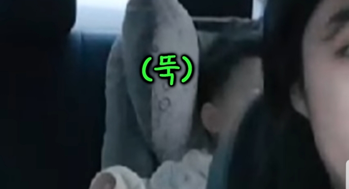 흔한 대한민국 아버지의 애기 울음 그치게 하는법 JPG | 인스티즈