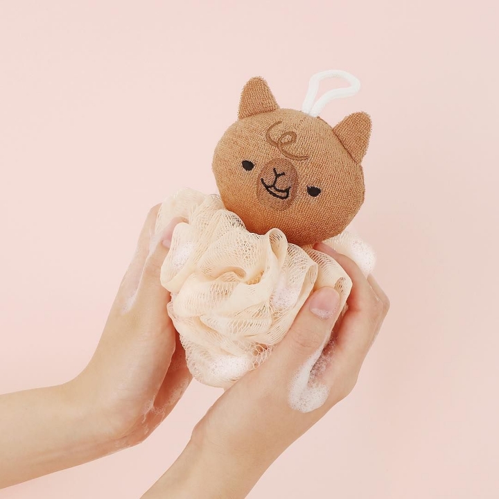 다이소 신상 알파카.....jpg | 인스티즈