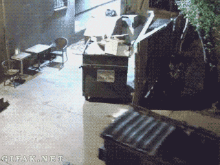 이젠 이유알기도 귀찮고 그냥 평화로운 일상임.gif | 인스티즈