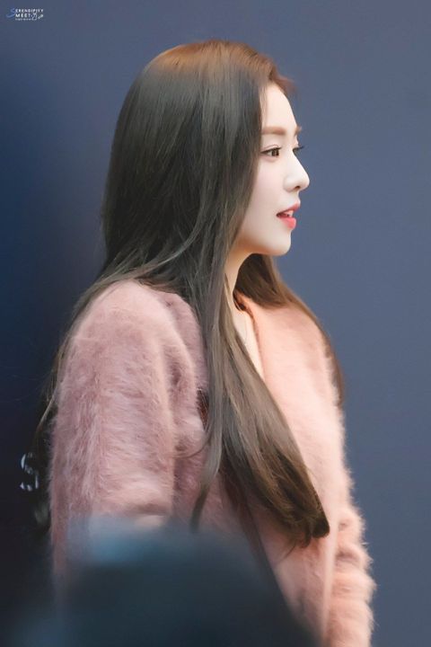 레드벨벳 아이린 | 인스티즈