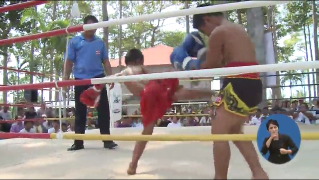 애들을 돈벌이로 경기에 내보낸다는 태국 (13살 소년 사망) | 인스티즈
