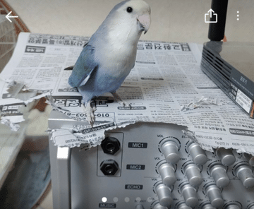 우당탕탕 당근마켓 모음.jpg | 인스티즈