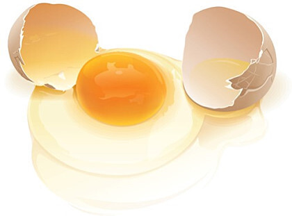 당장 지구상에 없어지면 본인한테 더 타격이 큰 식재료는??? | 인스티즈