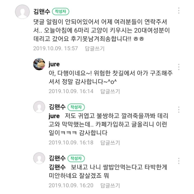길가다 제 차로 죽일뻔한 고양이를 데려왔는데요 | 인스티즈