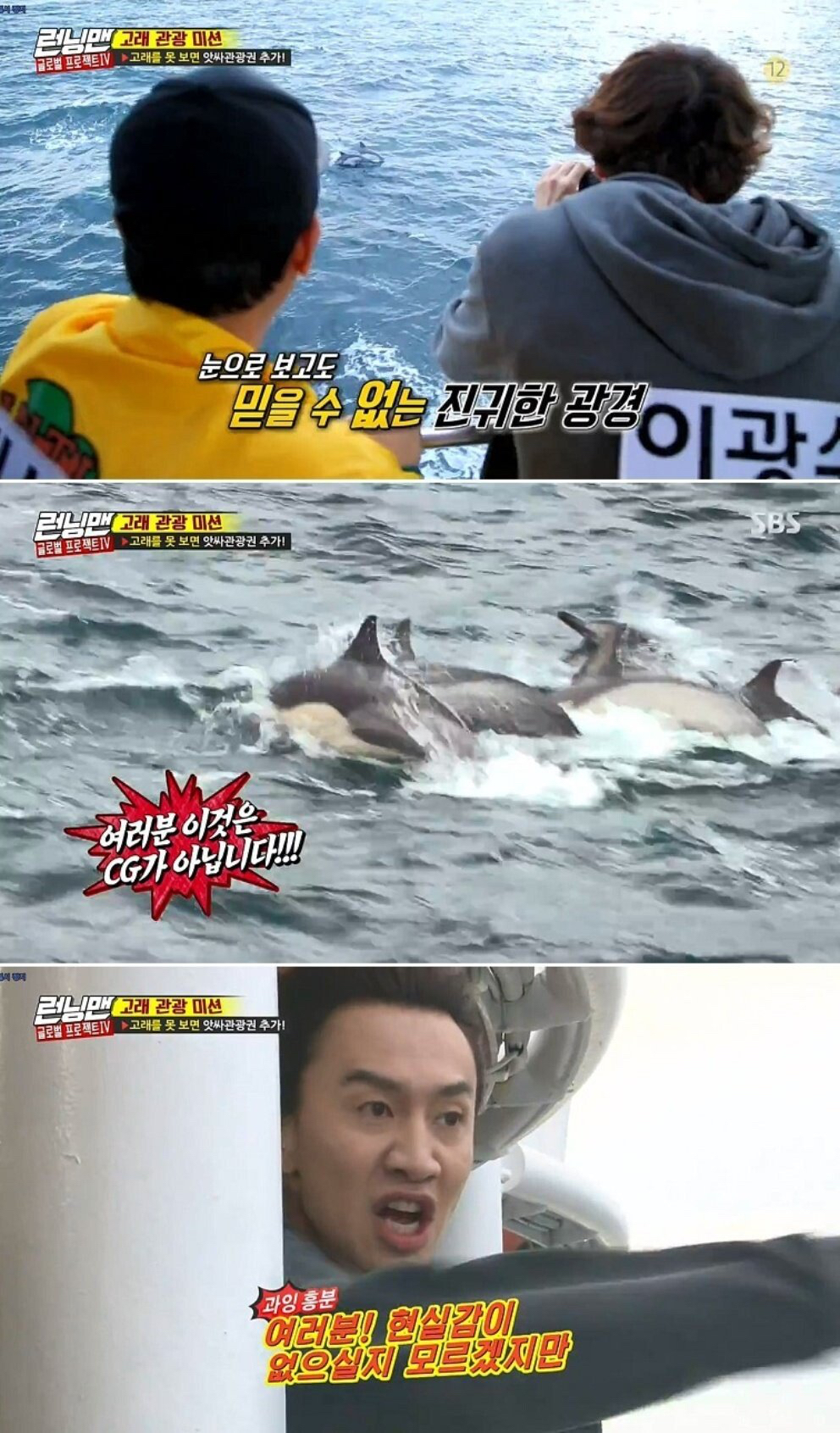 고래를 본 이광수 ㅋㅋㅋㅋㅋ | 인스티즈