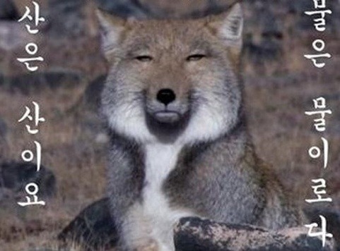 감기에 걸리면 나타나는 세가지 대처방식 | 인스티즈