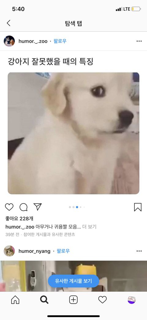 세기의 조랭이 대결 | 인스티즈