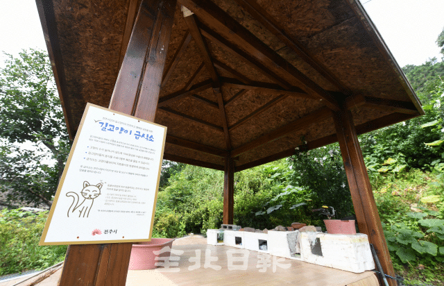 전주시 캣맘 레전드.jpg | 인스티즈