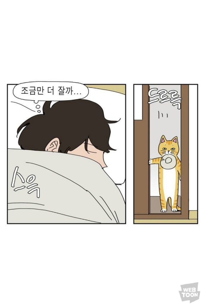 애완동물 키우면 매일 비슷한 시간에 깨는 이유.jpg | 인스티즈