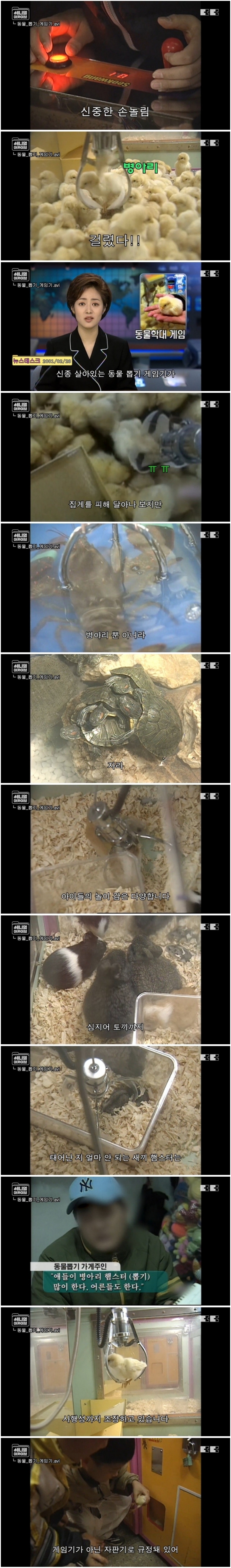 잼민이들은 모르는 저세상 인형뽑기.jpg | 인스티즈