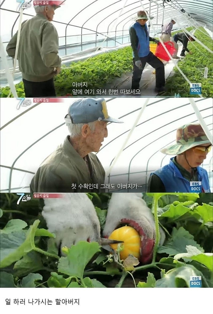 사랑은 이렇게 하는거네요.jpg | 인스티즈