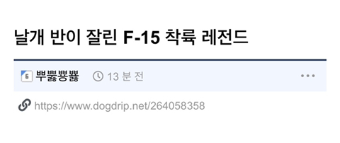 날개 반이 잘린 F-15 착륙 레전드 | 인스티즈