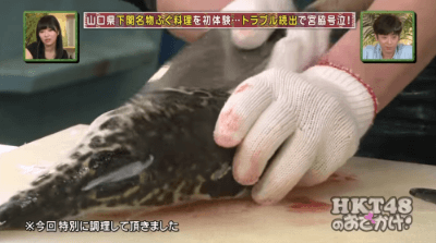 이시국의 우디르.gif | 인스티즈