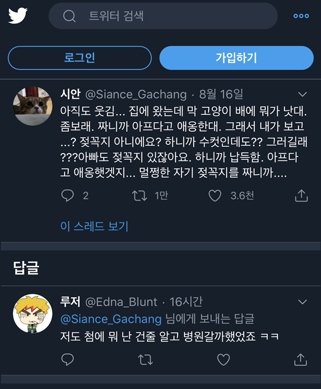집에 왔는데 아빠가 막 고양이 배에 뭐가 났대 좀보래 짜니까 아프다고 애옹한대.twt | 인스티즈