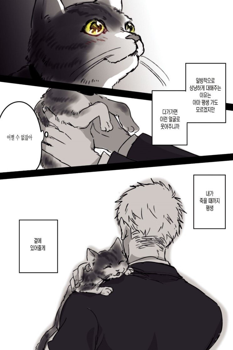 고양이와 집사.manhwa | 인스티즈