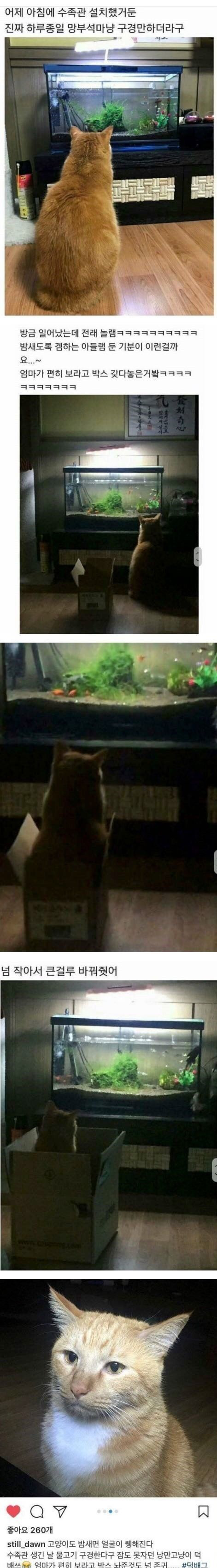 게임에 중독된 자식을 보는 엄마의 심정.jpg | 인스티즈