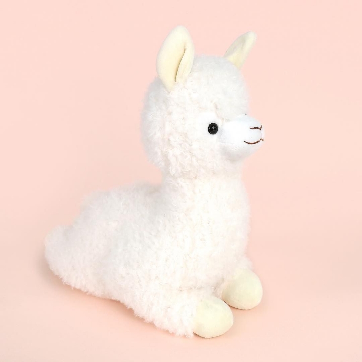 다이소 신상 알파카.....jpg | 인스티즈