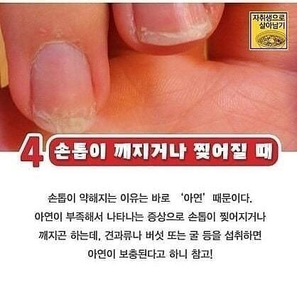 면역력 결핍일때 몸이 보내는 신호 | 인스티즈