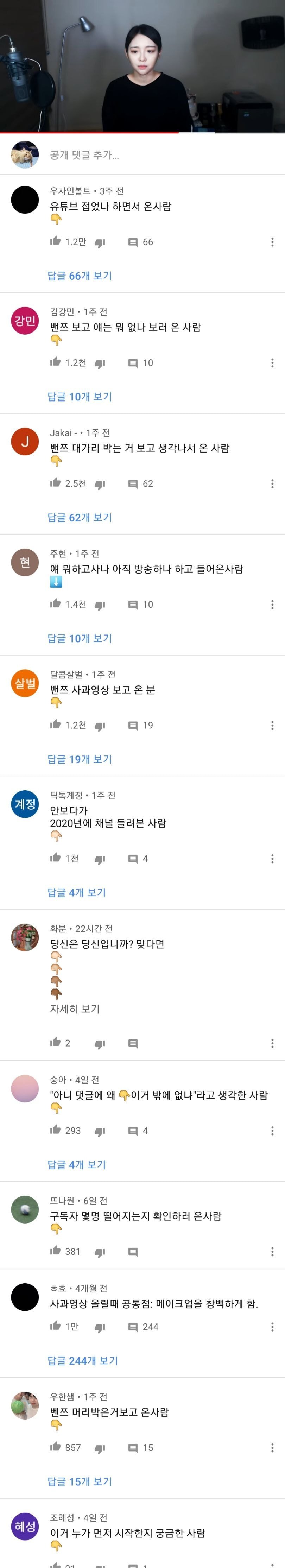 4개월째 영상 업로드 없는데도 꾸준히 악플달리는 유튜버 | 인스티즈