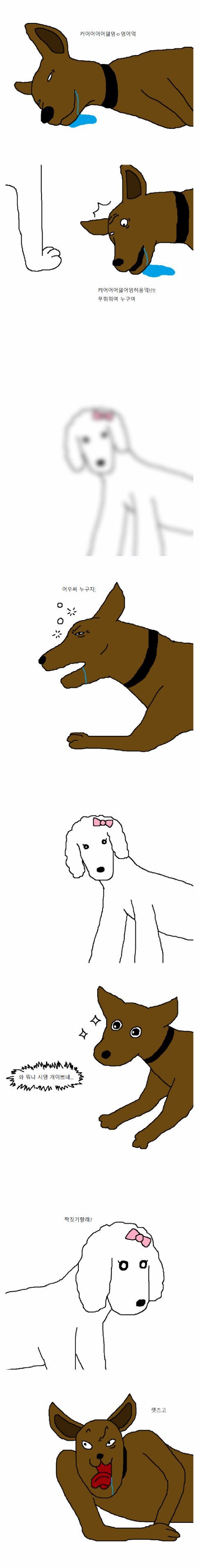 죽기전 짝짓기 하는 만화 | 인스티즈