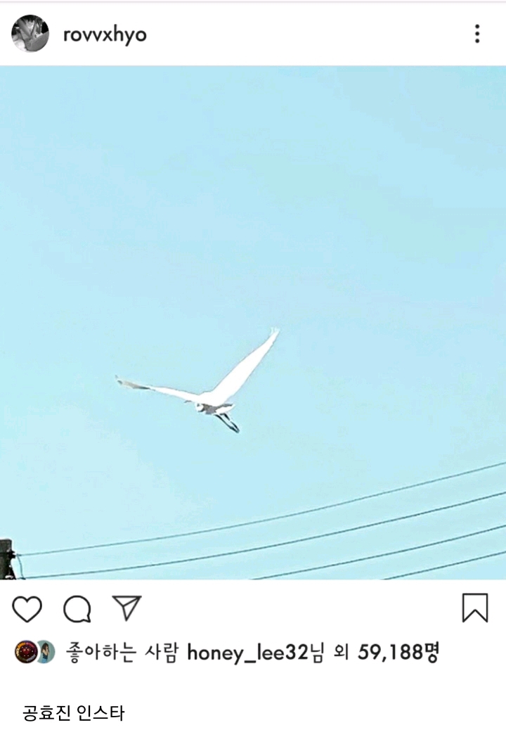 설리를 추모하는 연예인들.jpg | 인스티즈