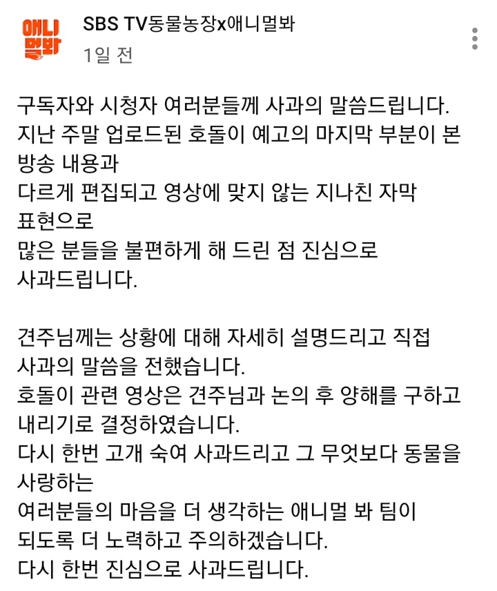 애니멀봐(동물농장 유튜브) 사과문 공지 | 인스티즈