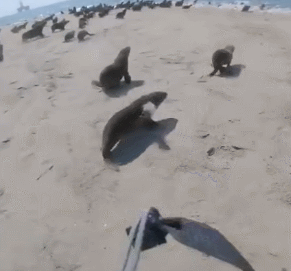 살려는 드릴께.. | 인스티즈