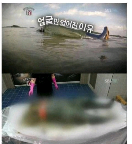 섬노예가 탈출하기 어려운 이유 | 인스티즈