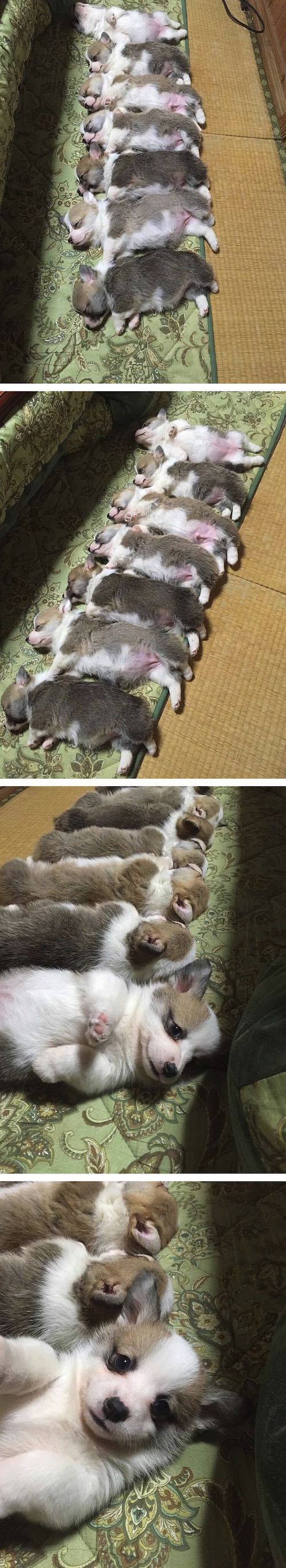 꼭 안자는 놈이 있어요 | 인스티즈