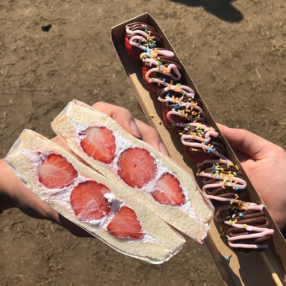 코로나 때문에 취소됐다는 논산딸기축제.......jpg | 인스티즈