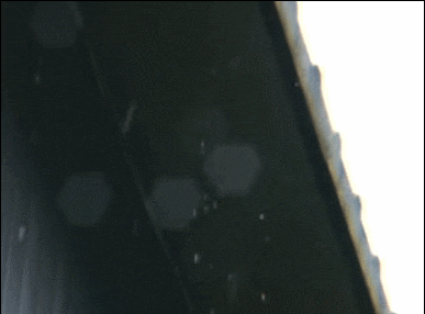 남자가 보면 미쳐버리는 짤.gif | 인스티즈