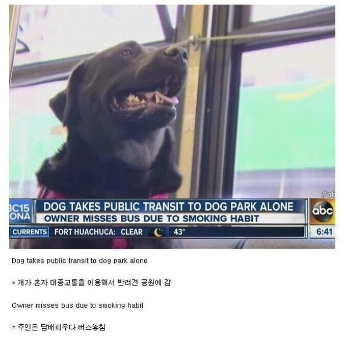 OO이는 여기있어 나는 버스타고 산책하러 갈거야.jpg | 인스티즈