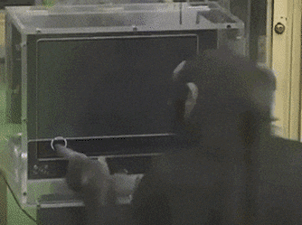 침팬지 기억력 클라스 | 인스티즈