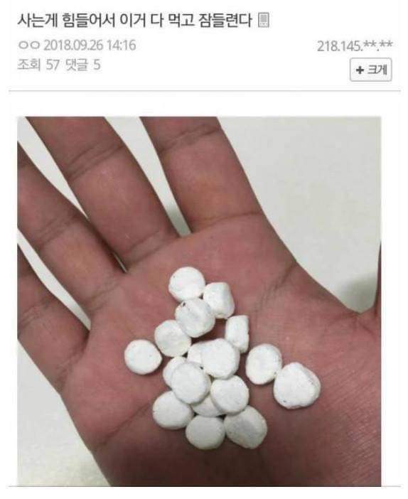 사는게 힘들어서 이거 다 먹고 잠들련다.jpg | 인스티즈