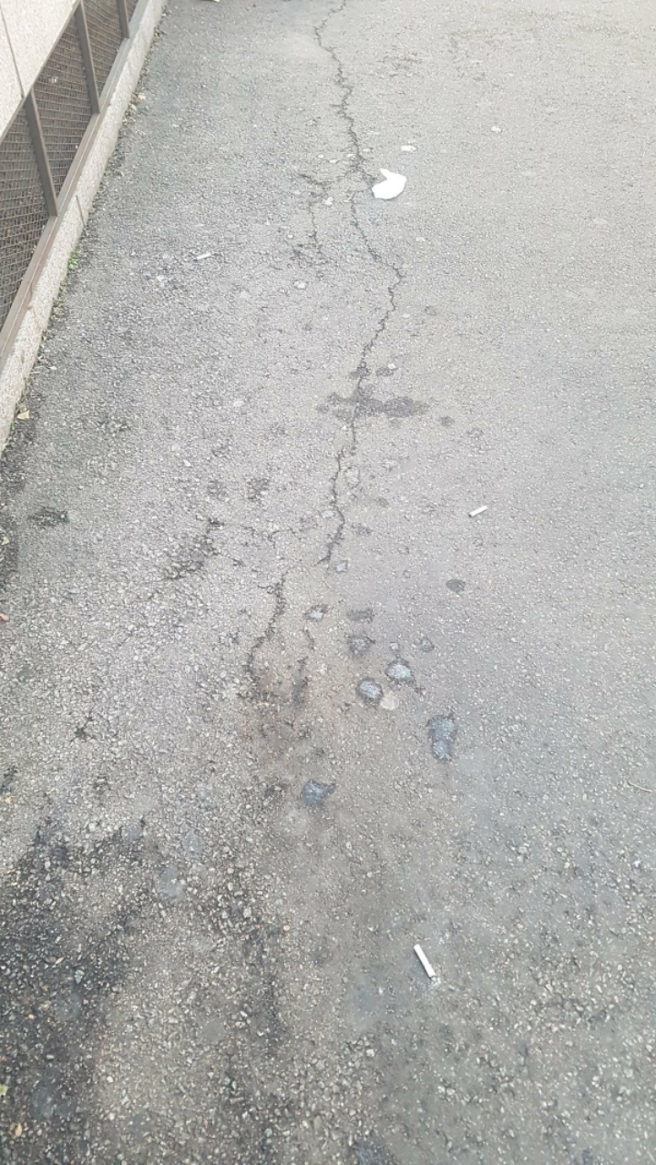 흡연자들이 지나간 길거리 | 인스티즈