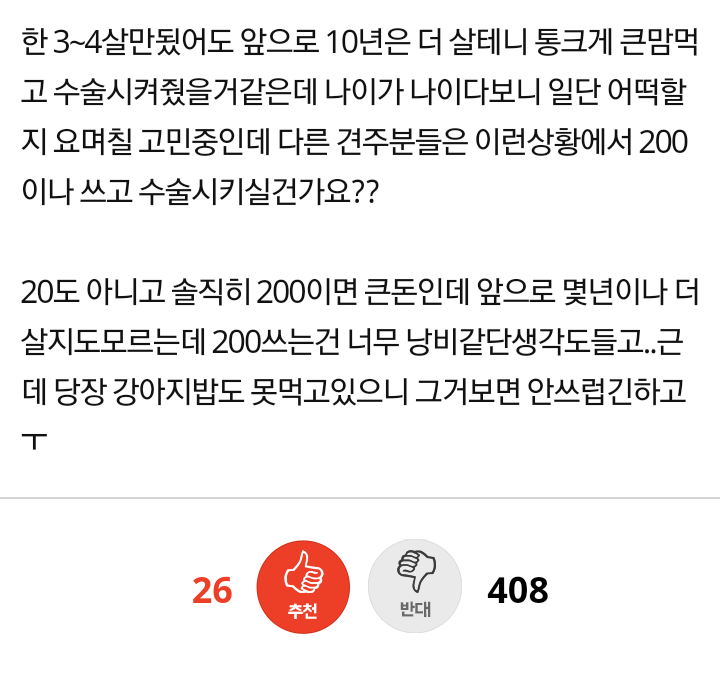 13살짜리 강아지한테 수술비 200쓰는건 아까울까요 | 인스티즈